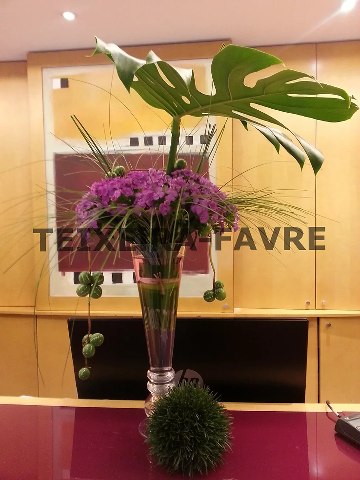 decoration entreprise fleurs plantes 1