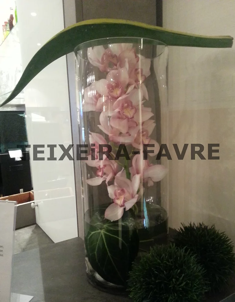 decoration entreprise fleurs plantes 6