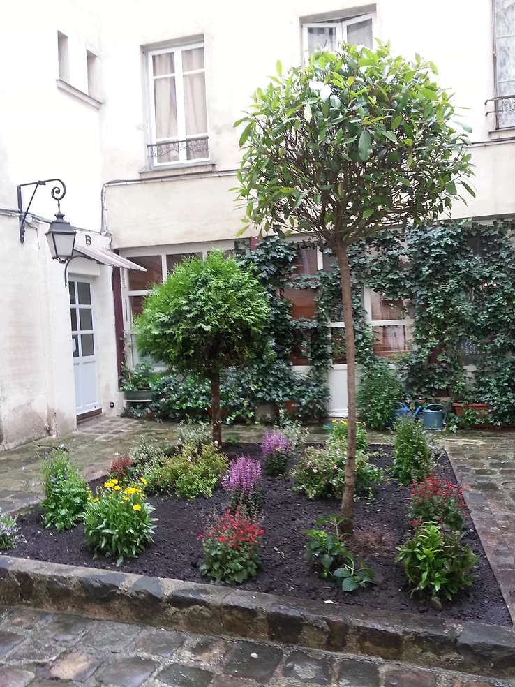 decoration fleurs arbres terrasse