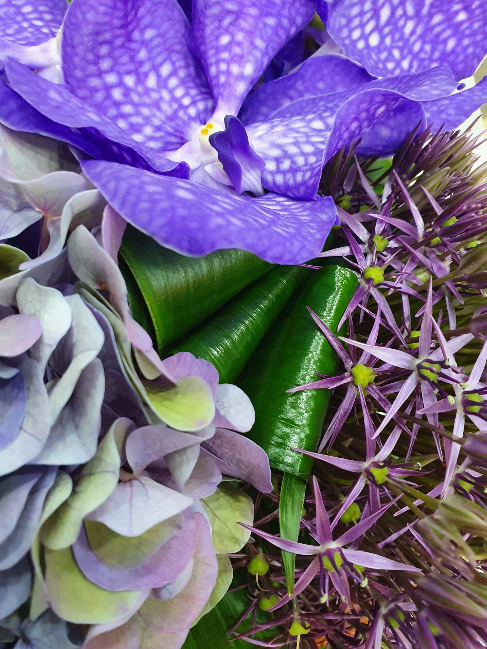 bouquet triangle fleurs violettes2