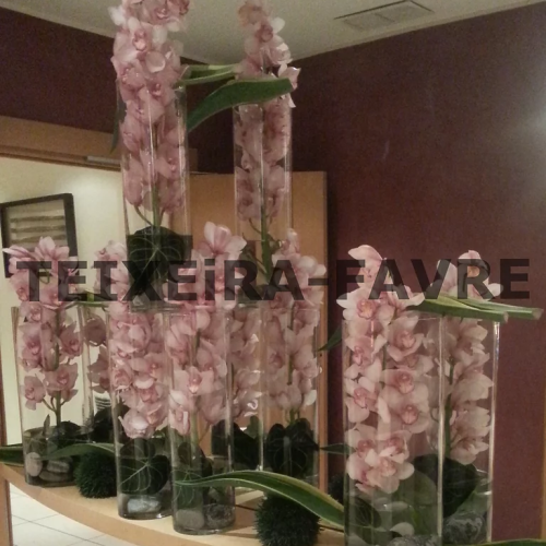 decoration entreprise fleurs plantes 7